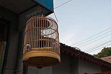 动作塔防游戏《教训：伊丽莎白狂热》现已在Steam平台推出免费序章